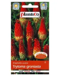 plantico-trytoma-groniasta-02-g-nasiona