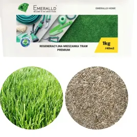 trawa-nasiona-emeralld-regeneracyjna-1kg-barenbrug