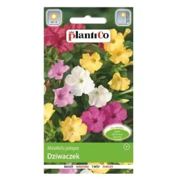 dziwaczek-mirabilis-nasiona-kwiatow-plantico-3g-nasiona