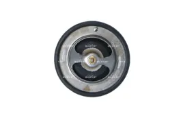 termostat-nrf-725134