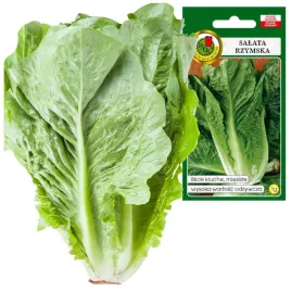 salata-rzymska-lentissima-krucha-miesista-nasiona-1g
