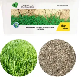 trawa-tereny-suche-odporna-emeralld-1kg-barenbrug