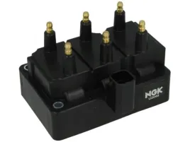 cewka-zaplonowa-ngk-48220