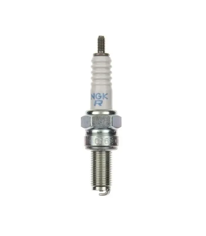 swieca-ngk-6965