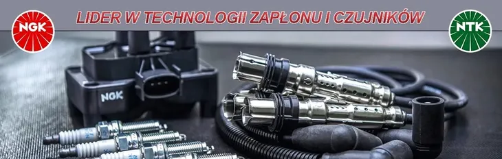 swieca-ngk-91450-producent-czesci-ngk