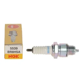 swieca-ngk-5539