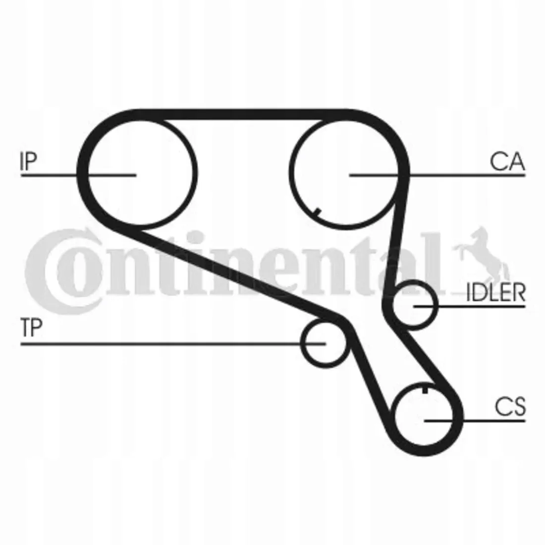 pasek-rozrzadu-contitech-ct952