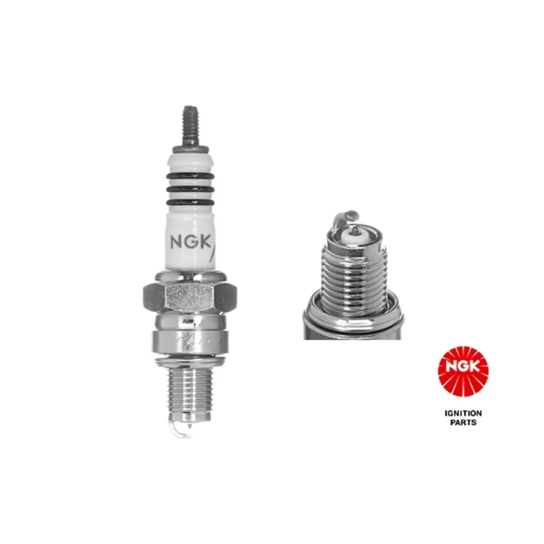 swieca-ngk-7544