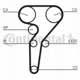 pasek-rozrzadu-contitech-ct877-producent-czesci-contitech-continental