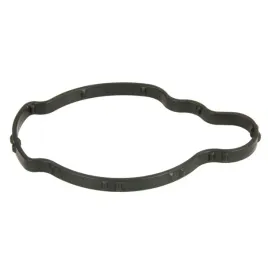 uszczelka-termostatu-ajusa-01466600-bmw-mini