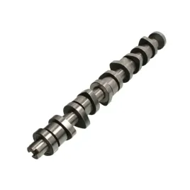 walek-rozrz-california-t5-t5-touareg-i-03-10-2-5