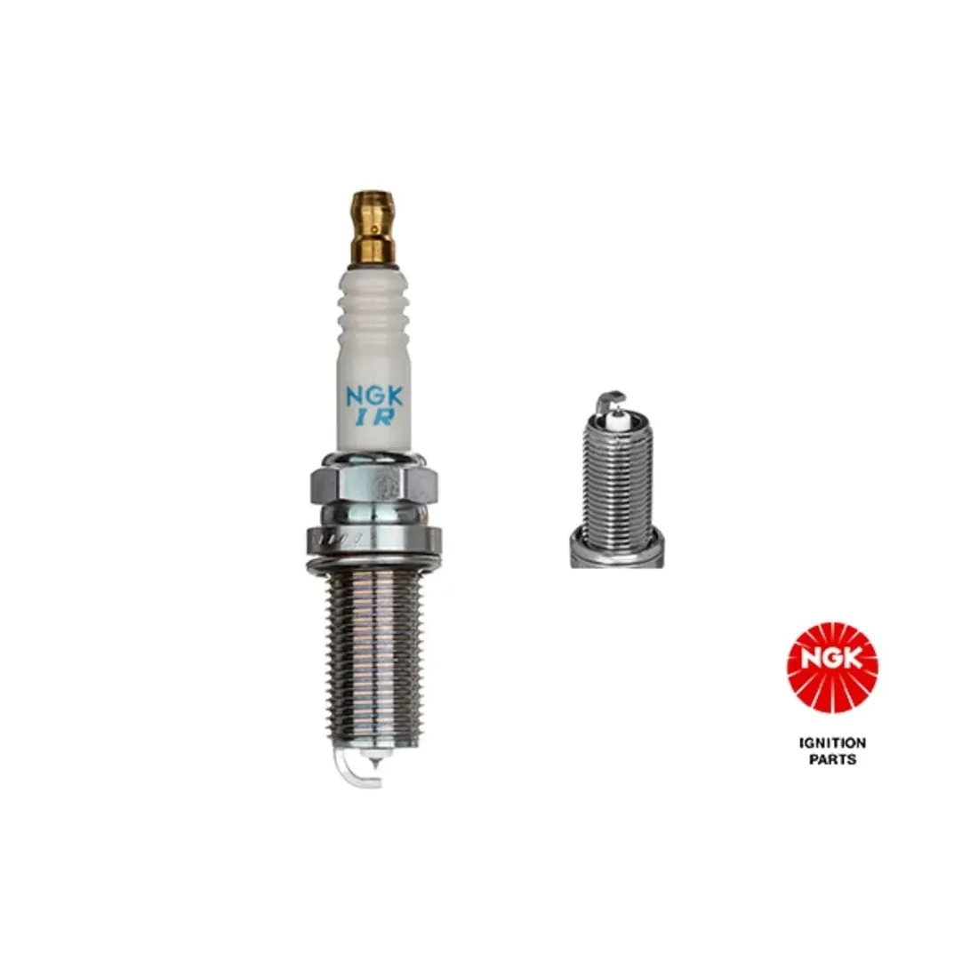 swieca-ngk-6481