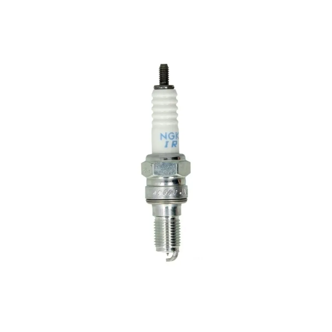 swieca-ngk-7556