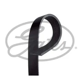 pasek-wieloklinowy-gates-7pk1810