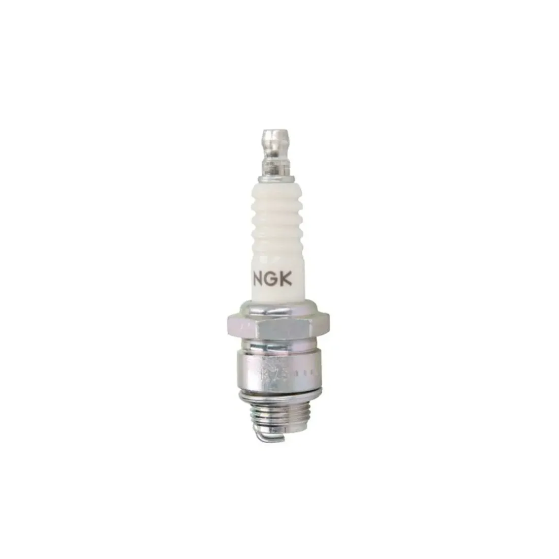 swieca-ngk-4838
