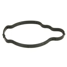 uszczelka-termostatu-ajusa-01466600-bmw-mini