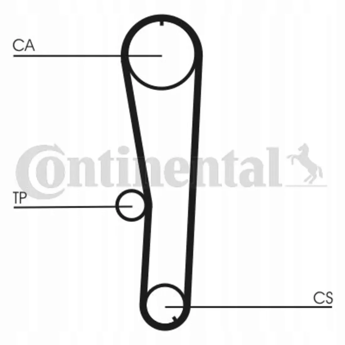 pasek-rozrzadu-contitech-ct1072