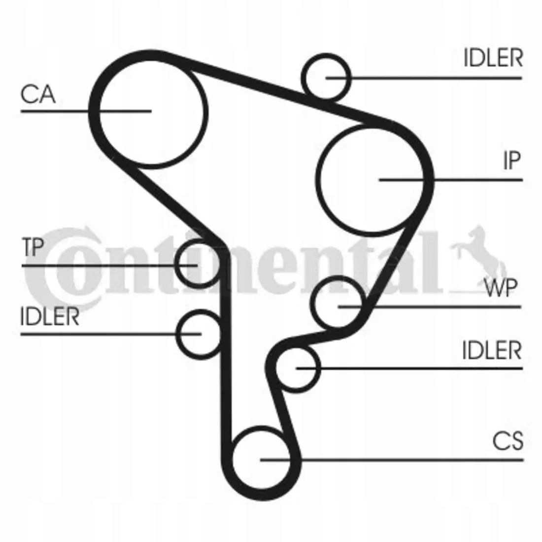 pasek-rozrzadu-contitech-ct946