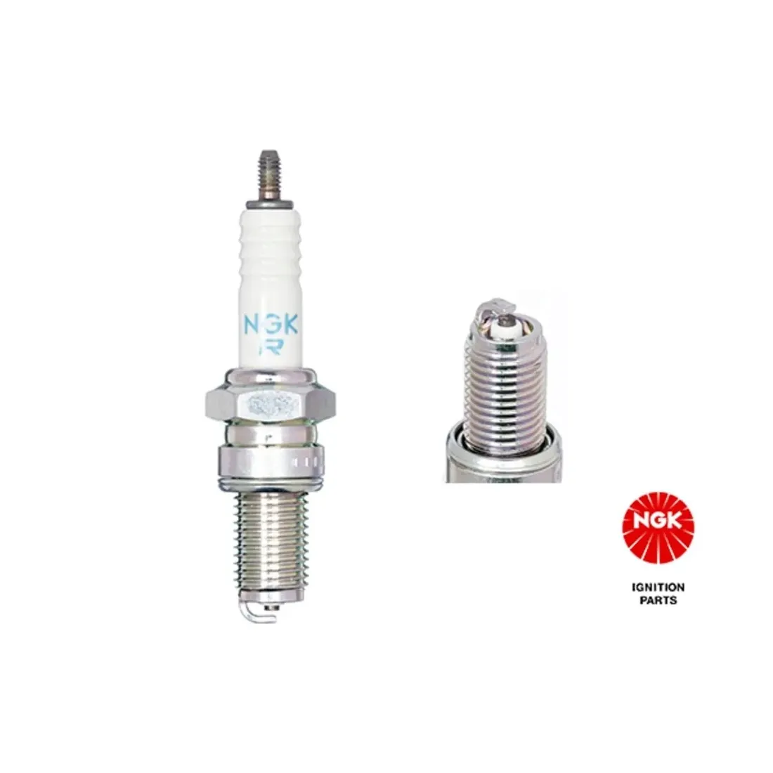 swieca-ngk-3123