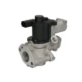 zawor-egr-delphi-eg10509-12b1