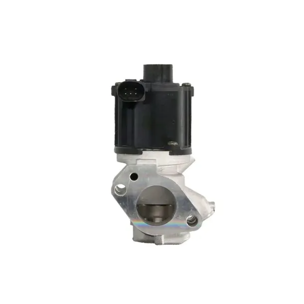 zawor-egr-delphi-eg10509-12b1-producent-czesci-delphi