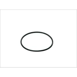 uszczelka-termostatu-dt-spare-parts-2-15062