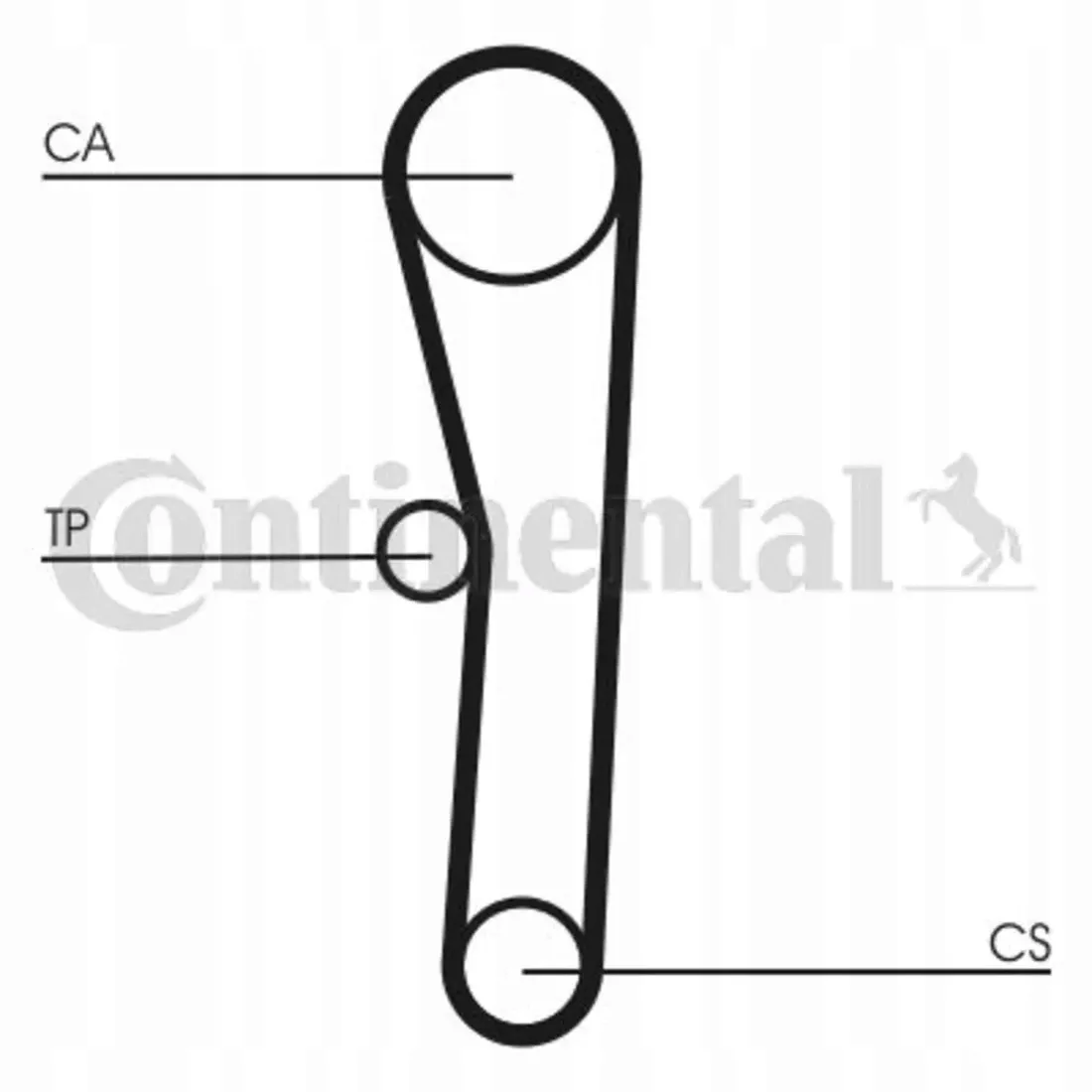 pasek-rozrzadu-contitech-ct1008