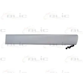 listwa-drzwi-tyl-lewa-citroen-berlingo-96-11