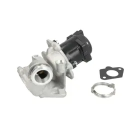 zawor-egr-hella-6nu-010-171-101
