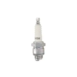swieca-ngk-4838