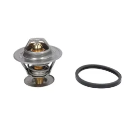 termostat-laguna-i-safrane-ii-95-01-2-0-2-5