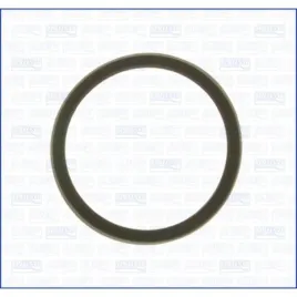 uszczelka-termostatu-ajusa-00975700