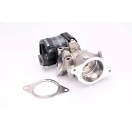 zawor-egr-delphi-eg10396-12b1