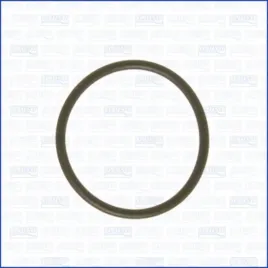 przewod-chlodzenia-ajusa-16024400