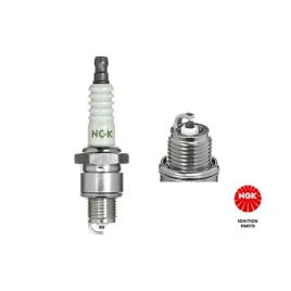 swieca-ngk-6729