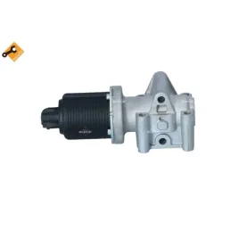 zawor-egr-nrf-48326
