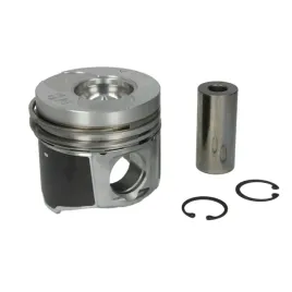 tlok-mahle