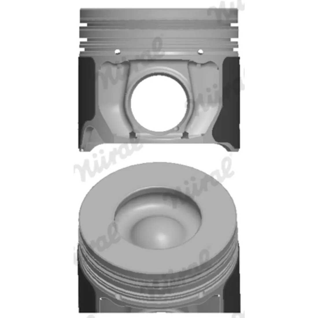 tlok-ford-transit-ford-transit-06-14-2-4