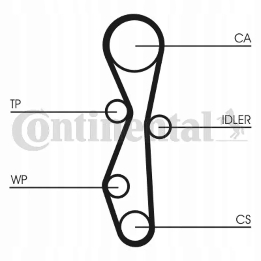 pasek-rozrzadu-contitech-ct1142