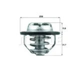 termostat-mahle-tx-122-82