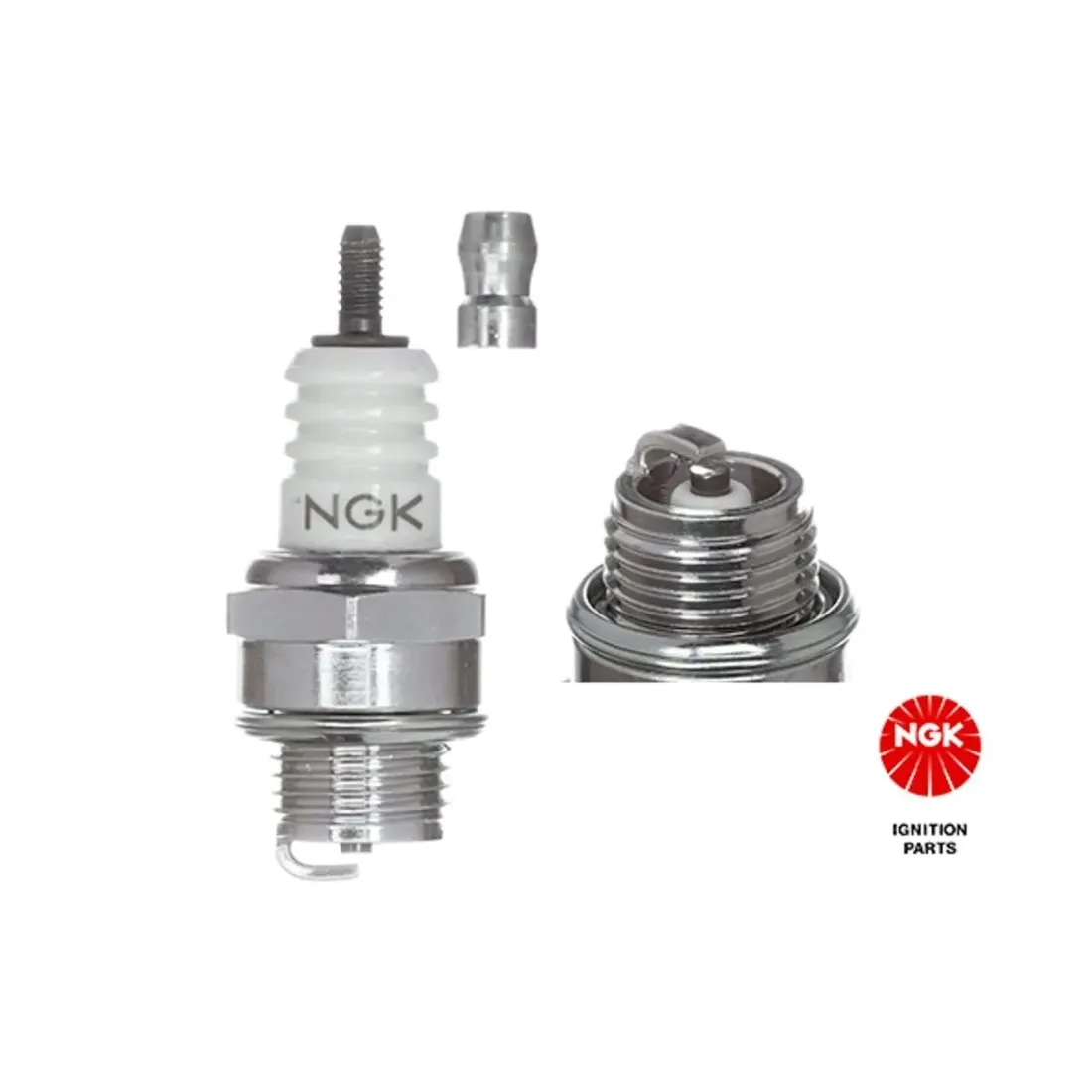 swieca-ngk-6521