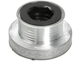 kolo-pasowe-alternatora-skf-vkm-03612