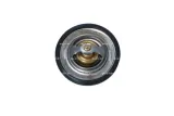 termostat-nrf-725154