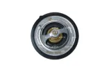 termostat-nrf-725196