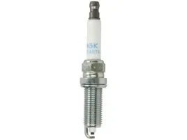 swieca-ngk-6799
