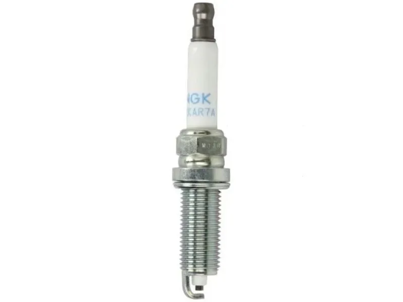 swieca-ngk-6799