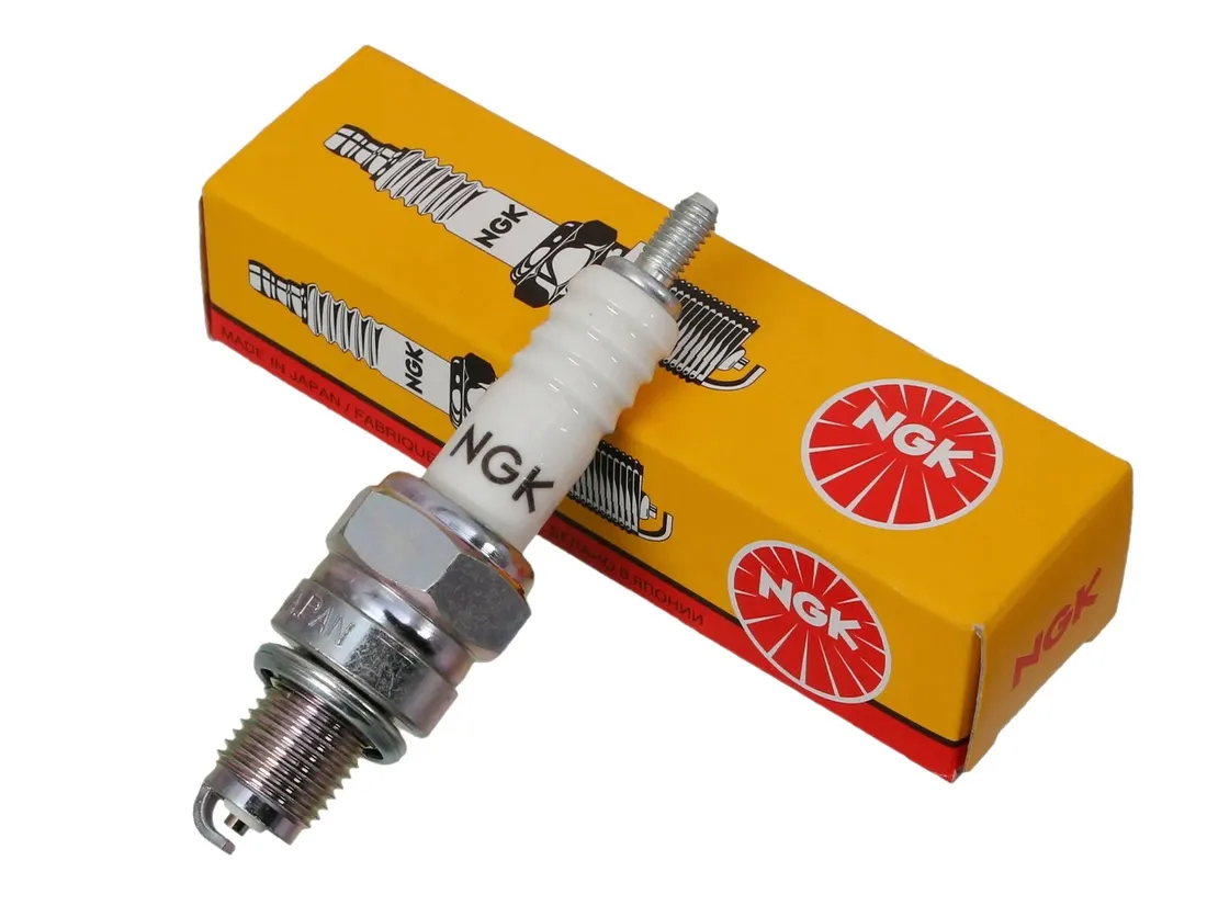 swieca-ngk-5810