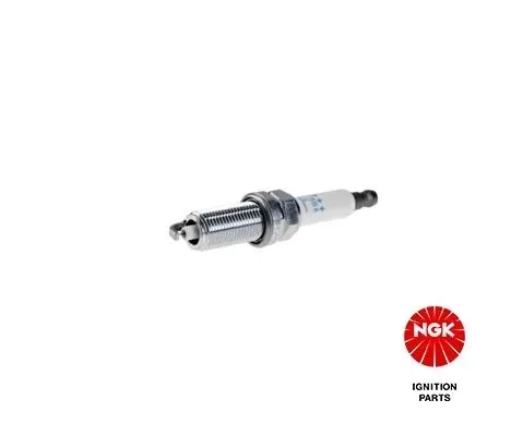 swieca-ngk-5987