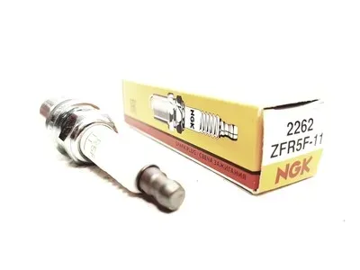 swieca-ngk-2262