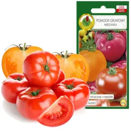 pomidor-gruntowy-mieszanka-odmian-kolorow-soczyste-i-miesiste-09g